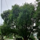 판암동150 이미지