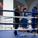 용인대 복싱클럽 이미지