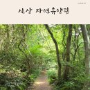 270-3511 | 신상 자연 휴양림 신축 예약 가을 여행지