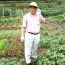 차기숙농장 네이버블로그