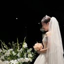 수협이용원 | [웨딩홀후기] 잠실 더컨벤션 예식 후기