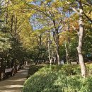 영장공원 이미지