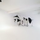 강남-231 이미지