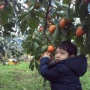 대봉사슴 이미지