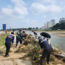 하천(갑천3) 이미지