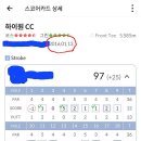 미샤스크린골프 이미지