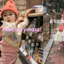 재이마트 스포츠조선