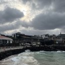 테라도스 | 제주도 여행 애월 카페 테라도스 밀크티 카스테라 후기