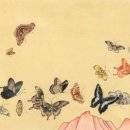 룰루투어 이미지