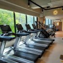 브라운짐 이미지