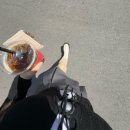 또스트 | 2653
