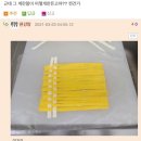 계란마스터 Daum카페
