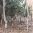 궁내동.궁안마을 | 3.궁내동 동경계따라 걷기2