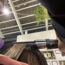 준오헤어 낙성대역점 세진디자이너님 레이어드C컬펌 후기