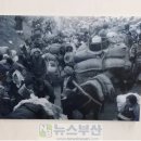 6.25참전유공자회 부산광역시 수영구지회 | 제12회 '6.25전쟁 발발 69주년' 사진전 (6월17~30일, 수영역)