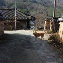 스테이.보성