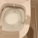 변기에다가 “이것 한조각” 넣으세요 냄새와 찌든때가 싹 사라집니다 이미지