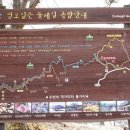 산수유 둘레길 네이버블로그
