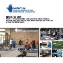 팀타이거짐 12호점 이미지