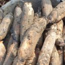 경산농장 이미지