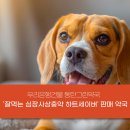 그린스타약국 이미지