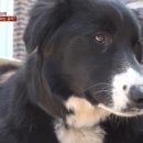 소용농장 이미지