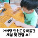 박물관 수 | 아이랑 &#34;만천곤충박물관&#34; 곤충표본만들기 체험 및 관람 후기