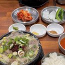 몽실펫 이미지