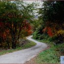 수산리-6 이미지