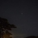 샛별축산 Daum카페