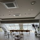 수영 | 밸런스 수영장 | 카페테리아 | 이용 시간 | 평일 자유수영 후기
