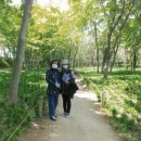 태화강 철새공원 이미지