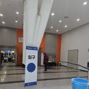 민화 속 반려동물 | 광주펫박람회 2026 후기 – 반려동물과 함께 즐긴 하루