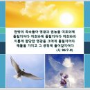 찬송가 / 443장 아침 햇살 비칠 때 이미지