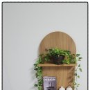 서프리조트 인더시티양양 이미지