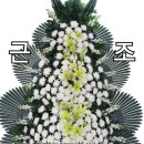 하나사 이미지