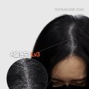 헤어팡팡 이미지