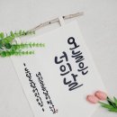 감성을 쓰다 캘리그라퍼 이미지