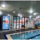 아이나래풀 이미지