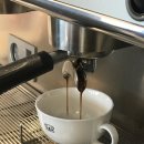 커피데이 | 서울광진구커피교육 [코알라커피아카데미] 라떼아트원데이클래스 후기 , 결하트 로제타 라떼아트