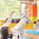 용인대 코리아 태권도 이미지