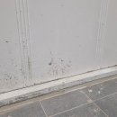 씨유경성큰마을점 | 대전 갈마동 경성큰마을아파트 화장실 리모델링 ABS 도어 문틀·문짝 교체 시공 후기