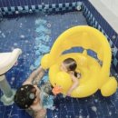 쥬쥬키즈풀빌라펜션 이미지