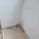 수송동신아파트 | 군산 수송동신 아파트 베란다 바이오세라믹 탄성코트 시공후기