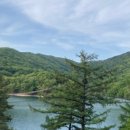 카페 브릿지(Cafe BRIDGE) 네이버블로그