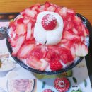 네오동전노래연습장 이미지