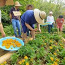 위드농장 이미지