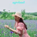 상몽농장2 이미지