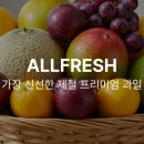 담담과일