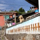 해안로2-R 이미지